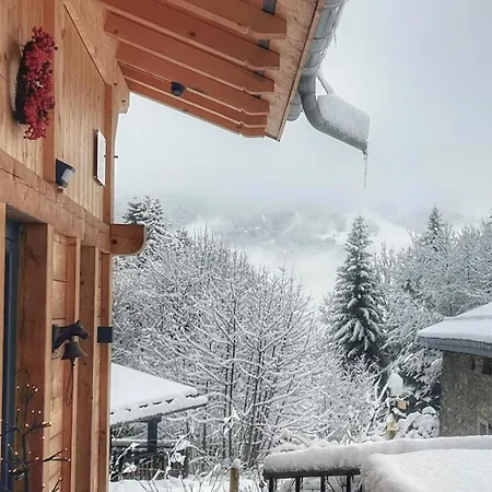 Etailya Au Coeur Des Pistes Du Jaillet Megeve