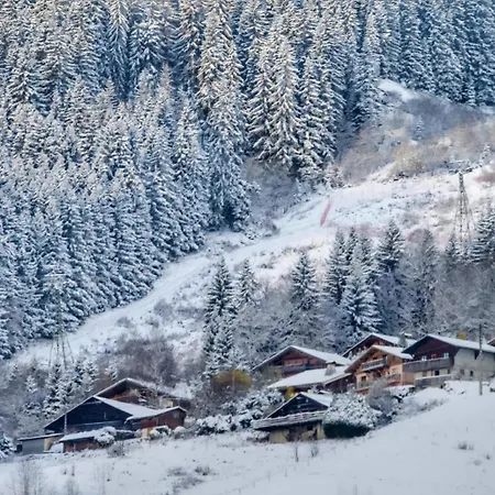 Etailya Au Coeur Des Pistes Du Jaillet *