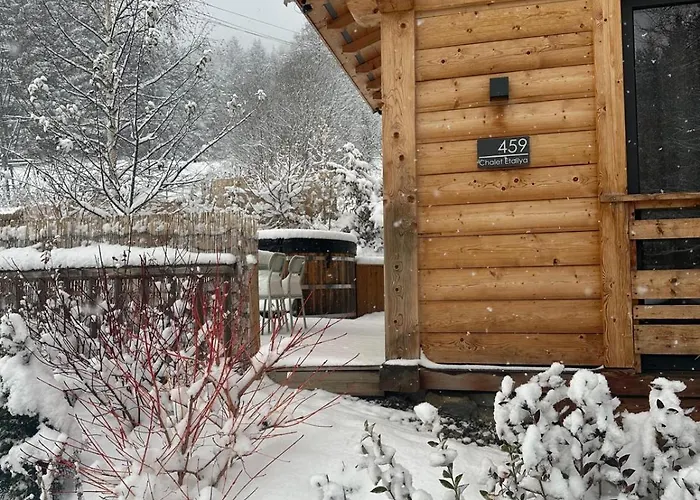 Ski-in-out Face Au Montblanc & Bain Nordique Alpehytte