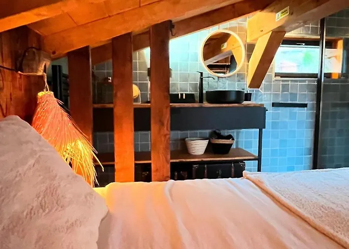 Ski-in-out Face Au Montblanc & Bain Nordique Alpehytte