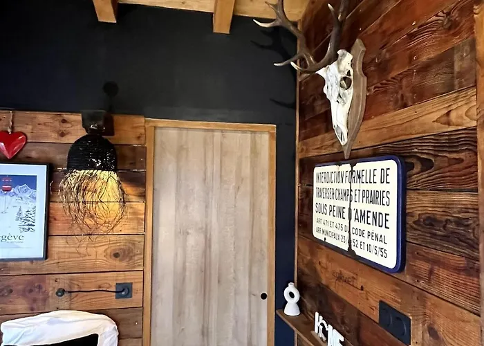 Ski-in-out Face Au Montblanc & Bain Nordique Alpehytte *