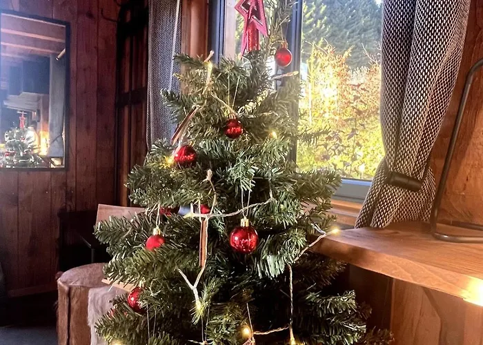 Ski-in-out Face Au Montblanc & Bain Nordique Alpehytte *