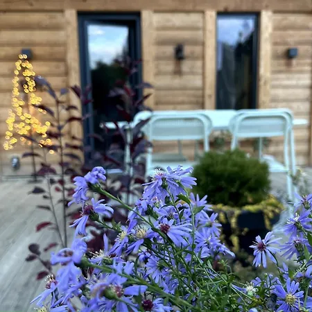 Ski-in-out Face Au Montblanc & Bain Nordique