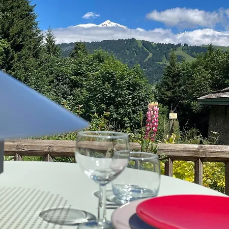 Ski-in-out Face Au Montblanc & Bain Nordique * Megève