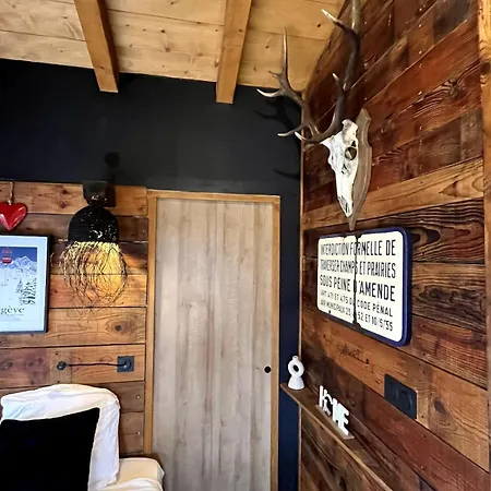 Ski-in-out Face Au Montblanc & Bain Nordique Chalet *