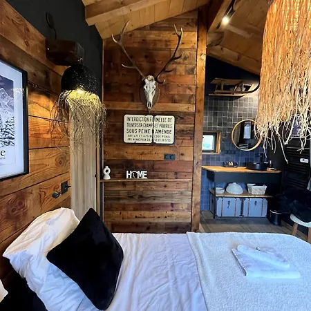 Ski-in-out Face Au Montblanc & Bain Nordique Megeve