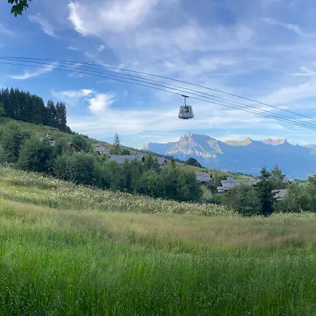 Ski-in-out Face Au Montblanc & Bain Nordique Chalet