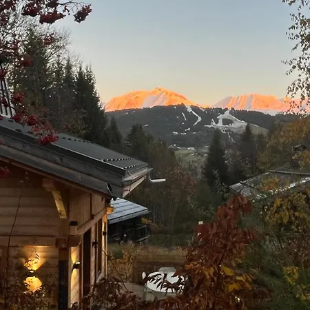 Ski-in-out Face Au Montblanc & Bain Nordique *