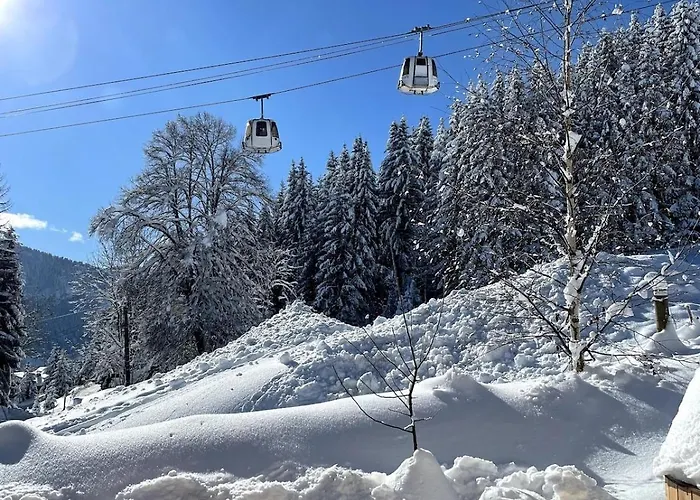 Ski-in-out Face Au Montblanc & Bain Nordique